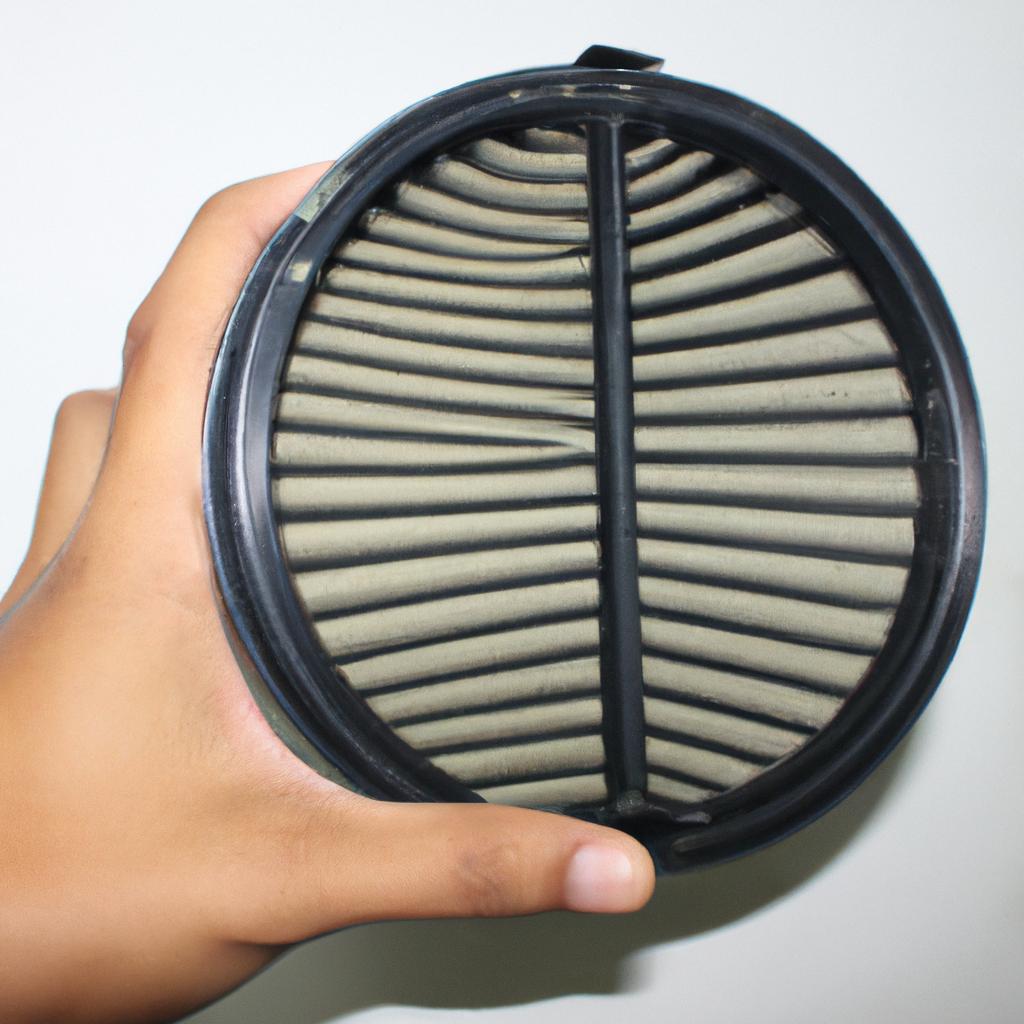 Person holding air filter equipment